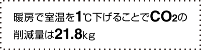 g[Ŏ1邱ƂCO2̍팸ʂ21.8kg